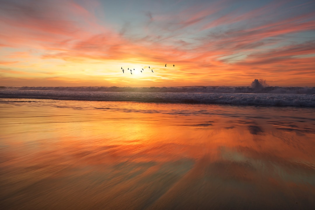 Photo Sunset landscape